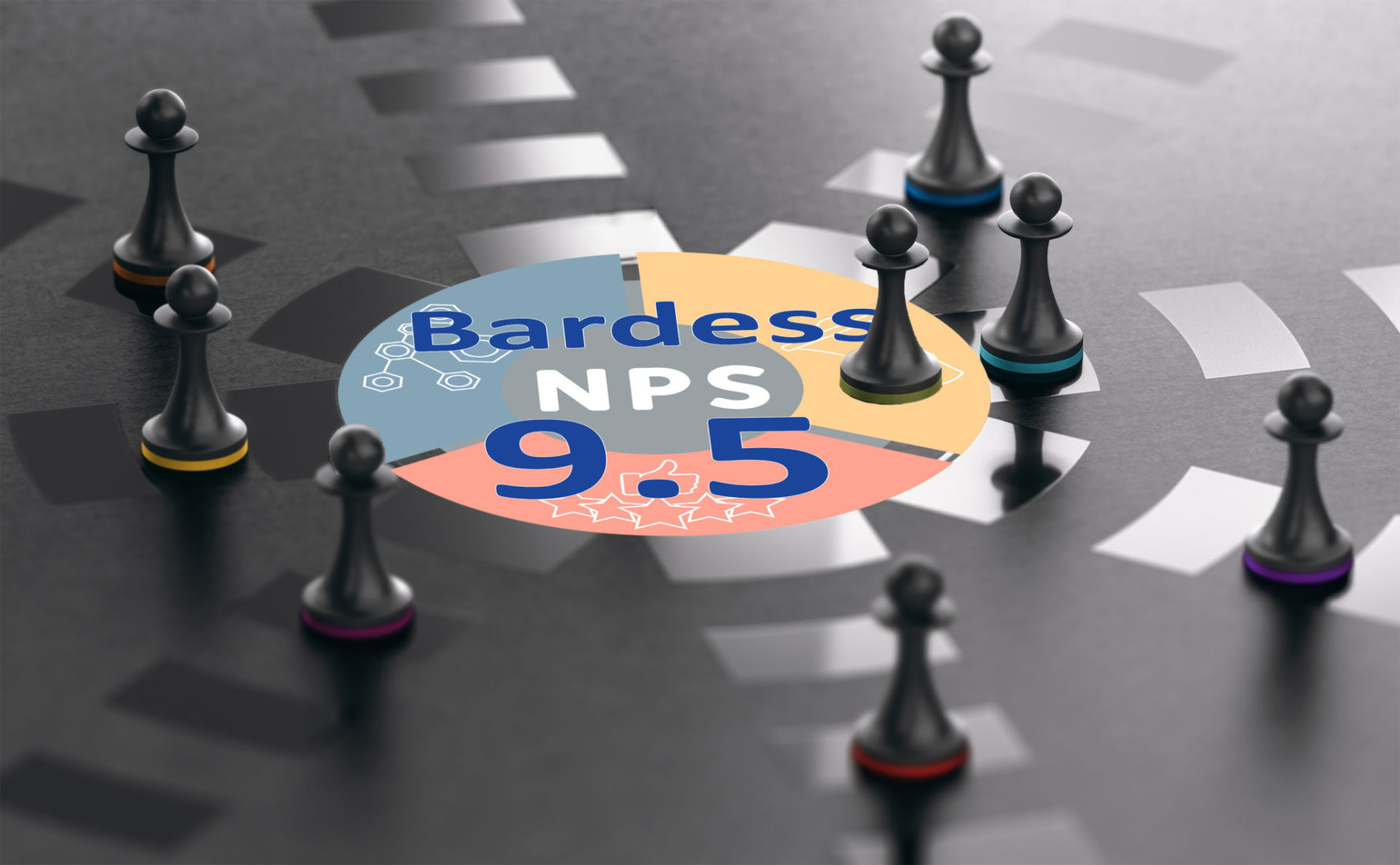 Customer Success Bardess Group Business Analytics And Data Strategy